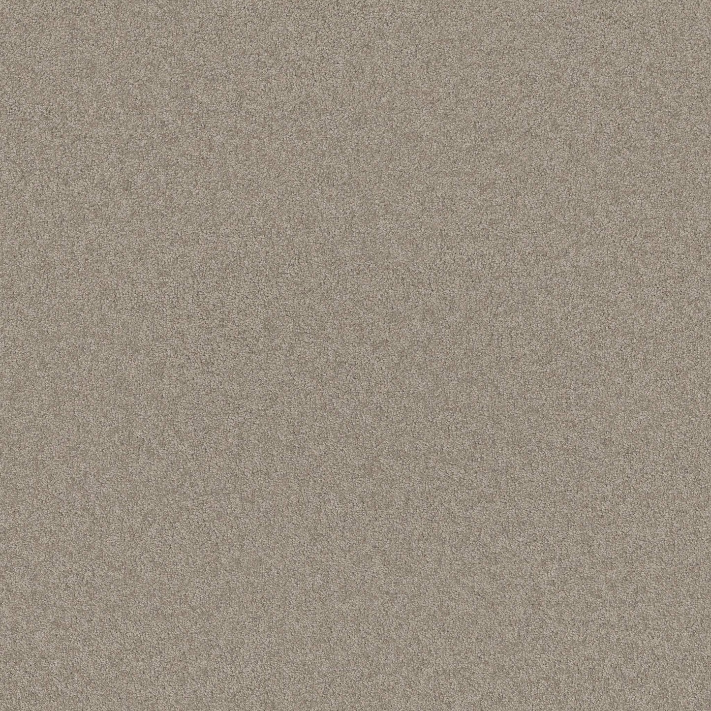 TEXTURE BCF