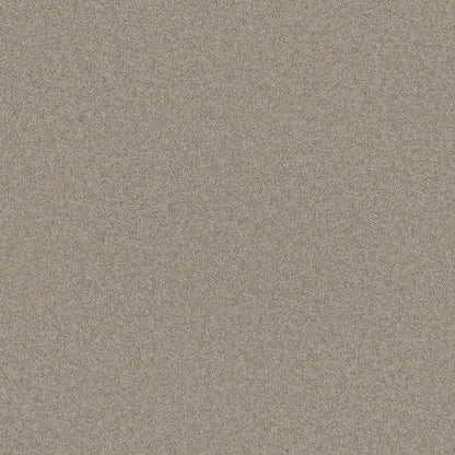 TEXTURE BCF