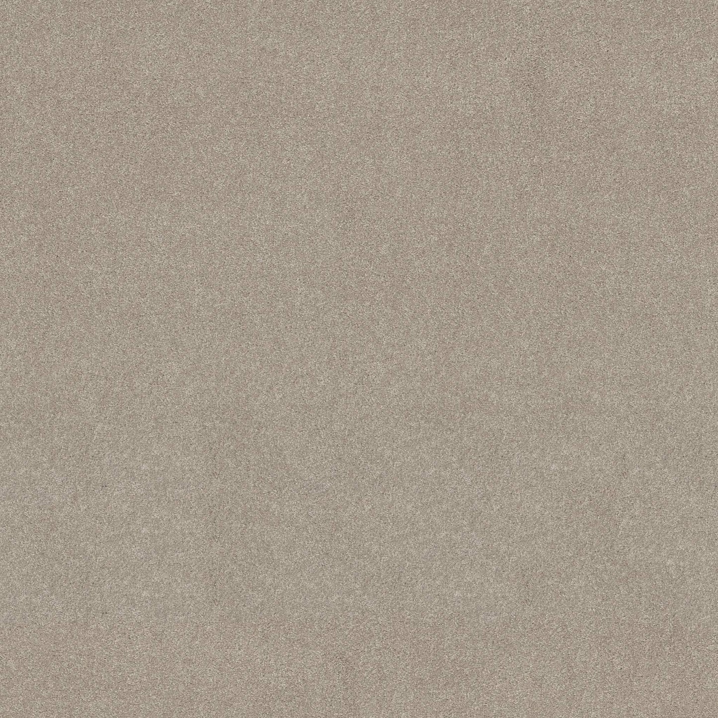 TEXTURE BCF