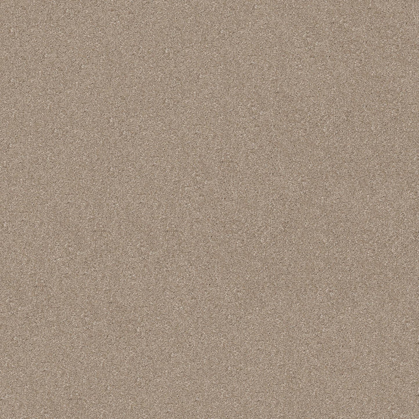 TEXTURE BCF