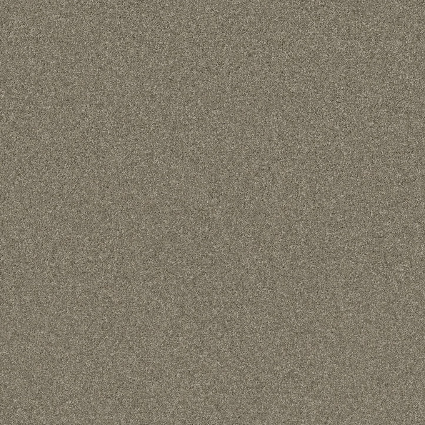 TEXTURE BCF