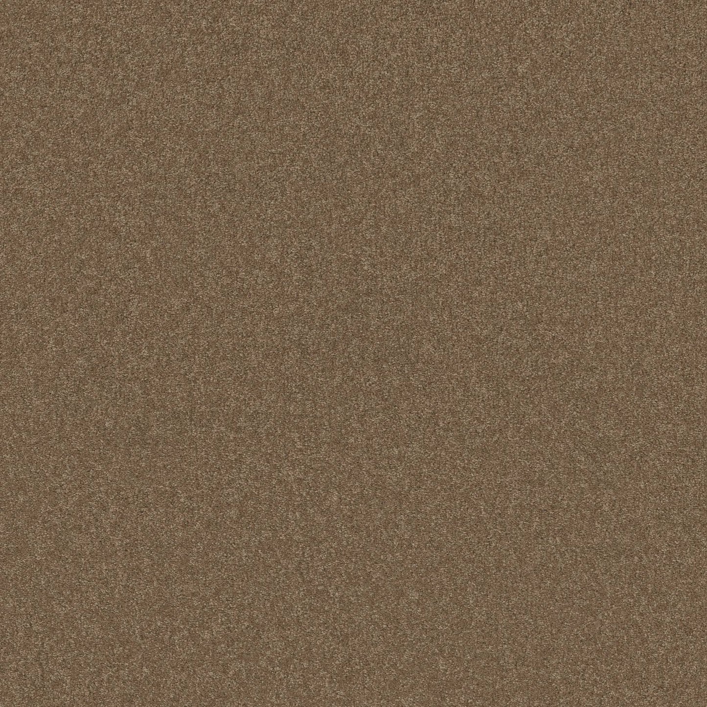 TEXTURE BCF