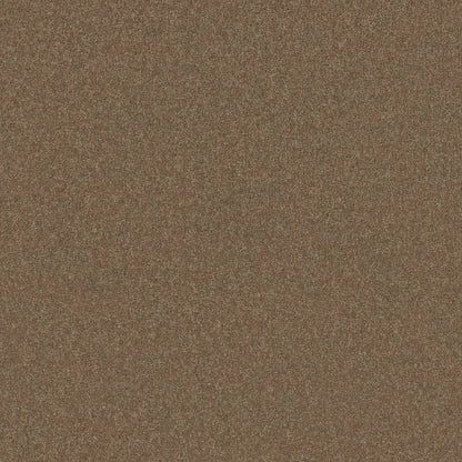 TEXTURE BCF