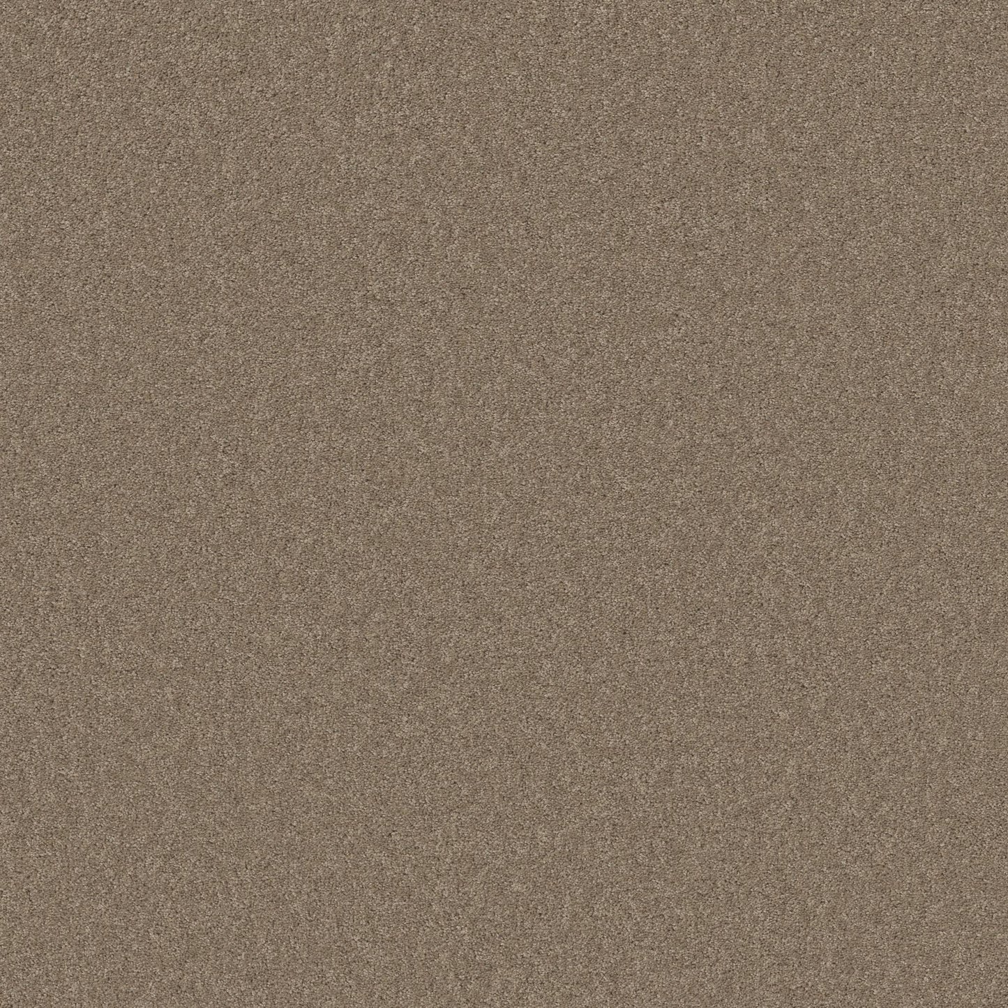 TEXTURE BCF