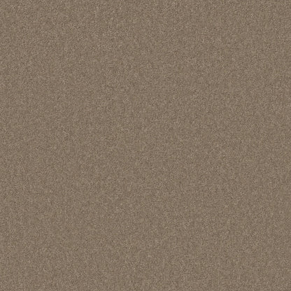 TEXTURE BCF
