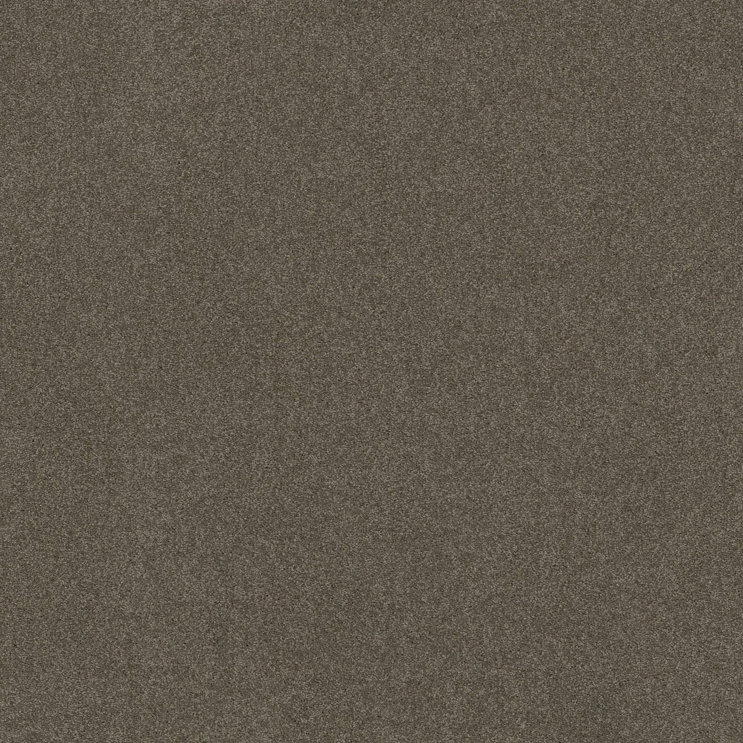 TEXTURE BCF