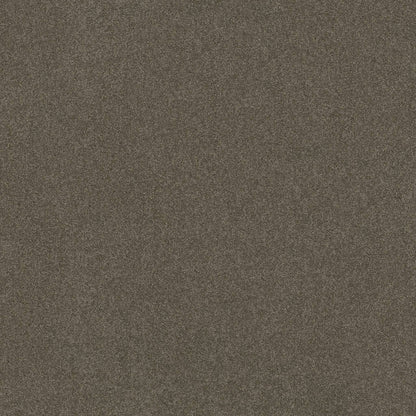 TEXTURE BCF