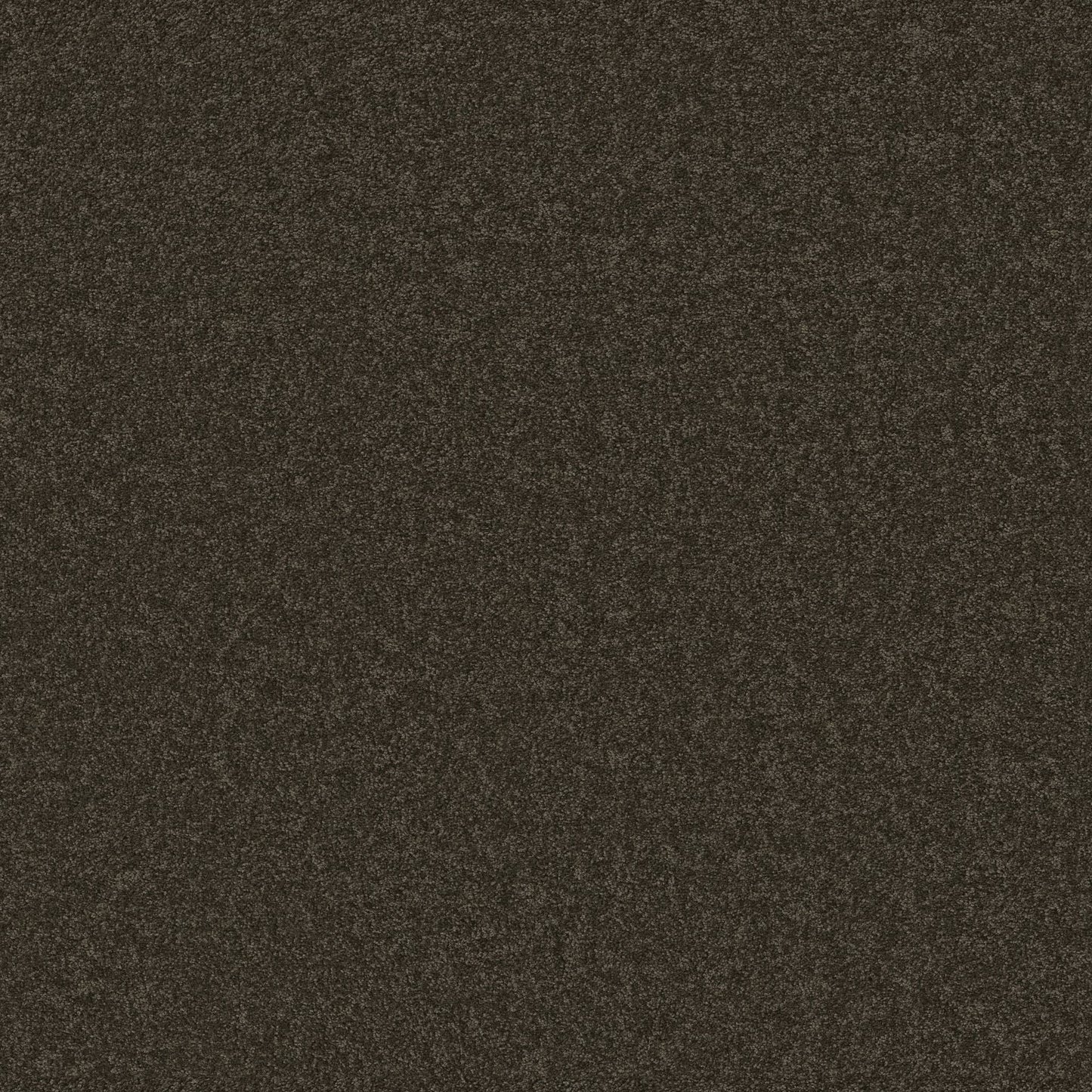 TEXTURE BCF