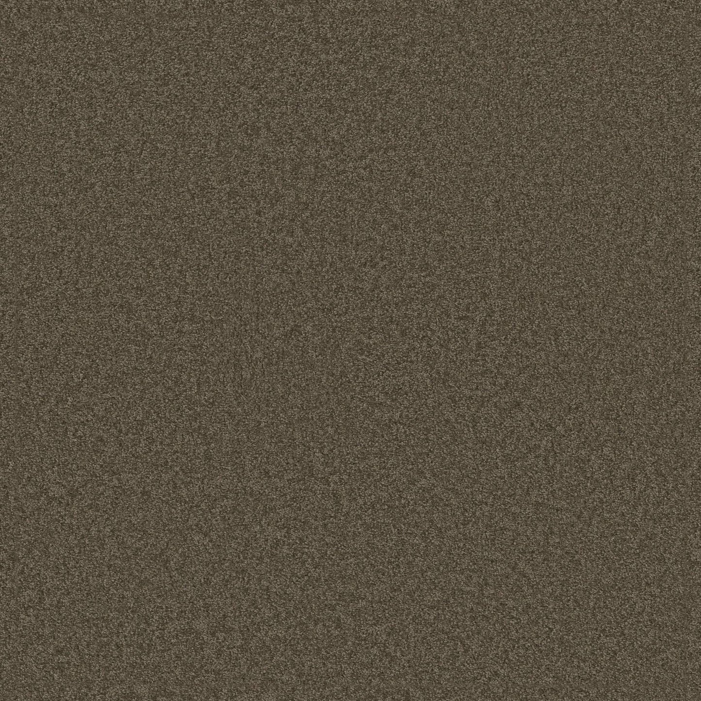 TEXTURE BCF