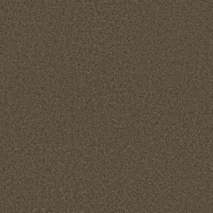 TEXTURE BCF