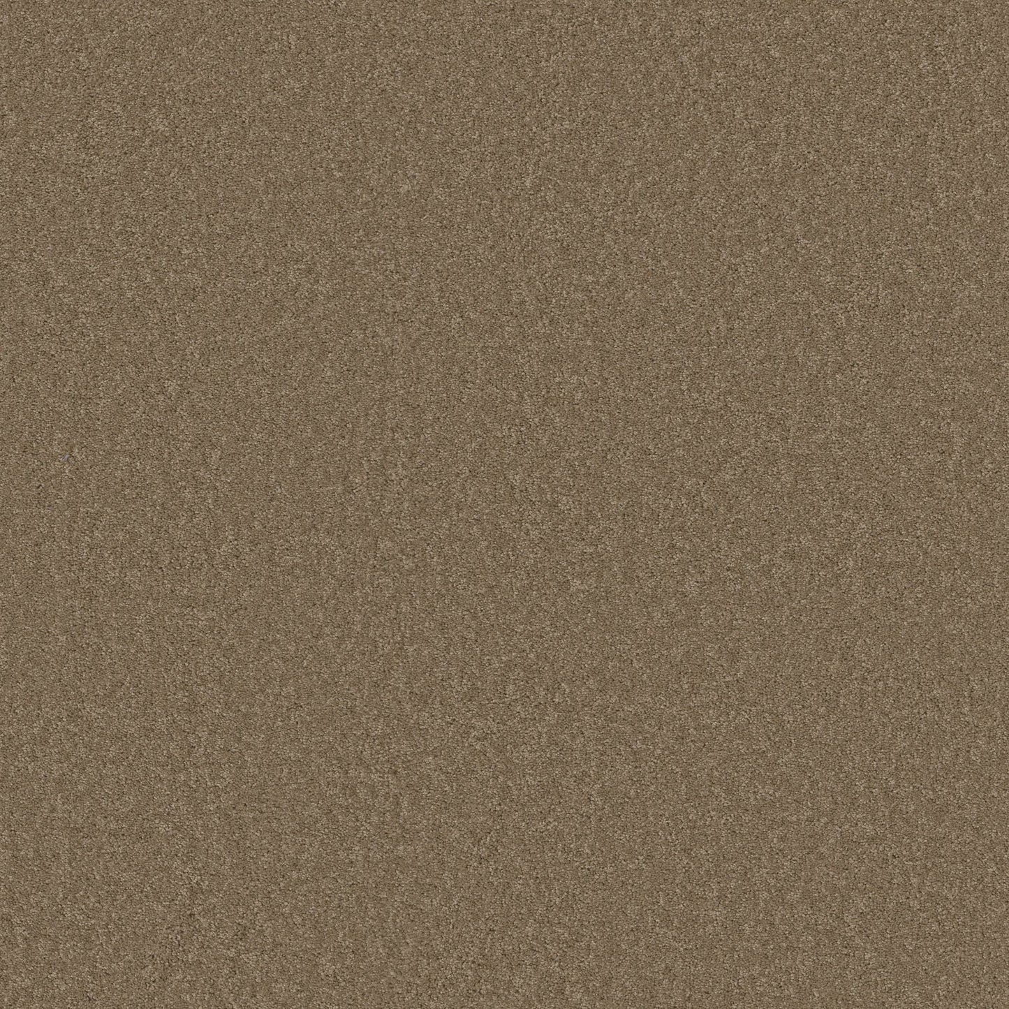 TEXTURE BCF