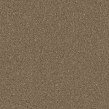 TEXTURE BCF