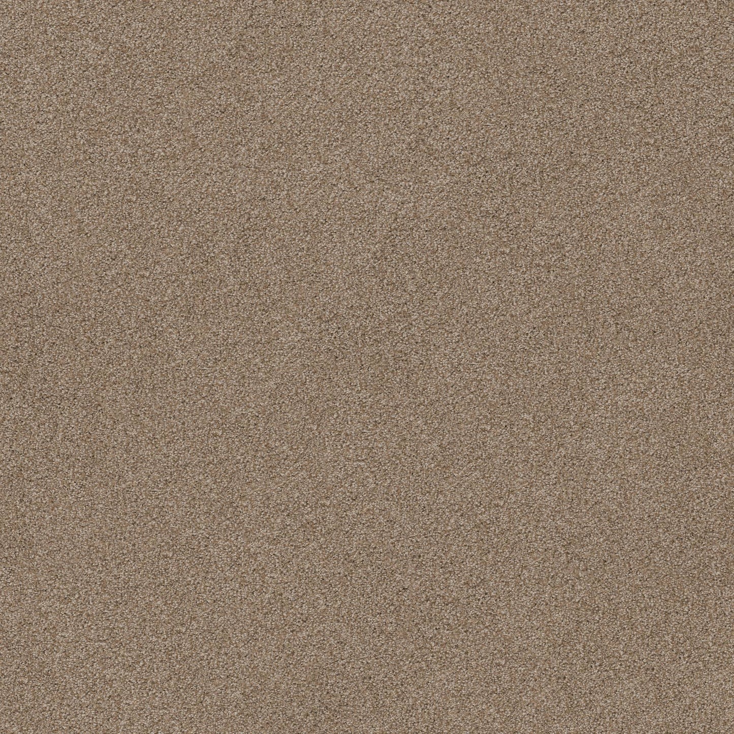 TEXTURE BCF