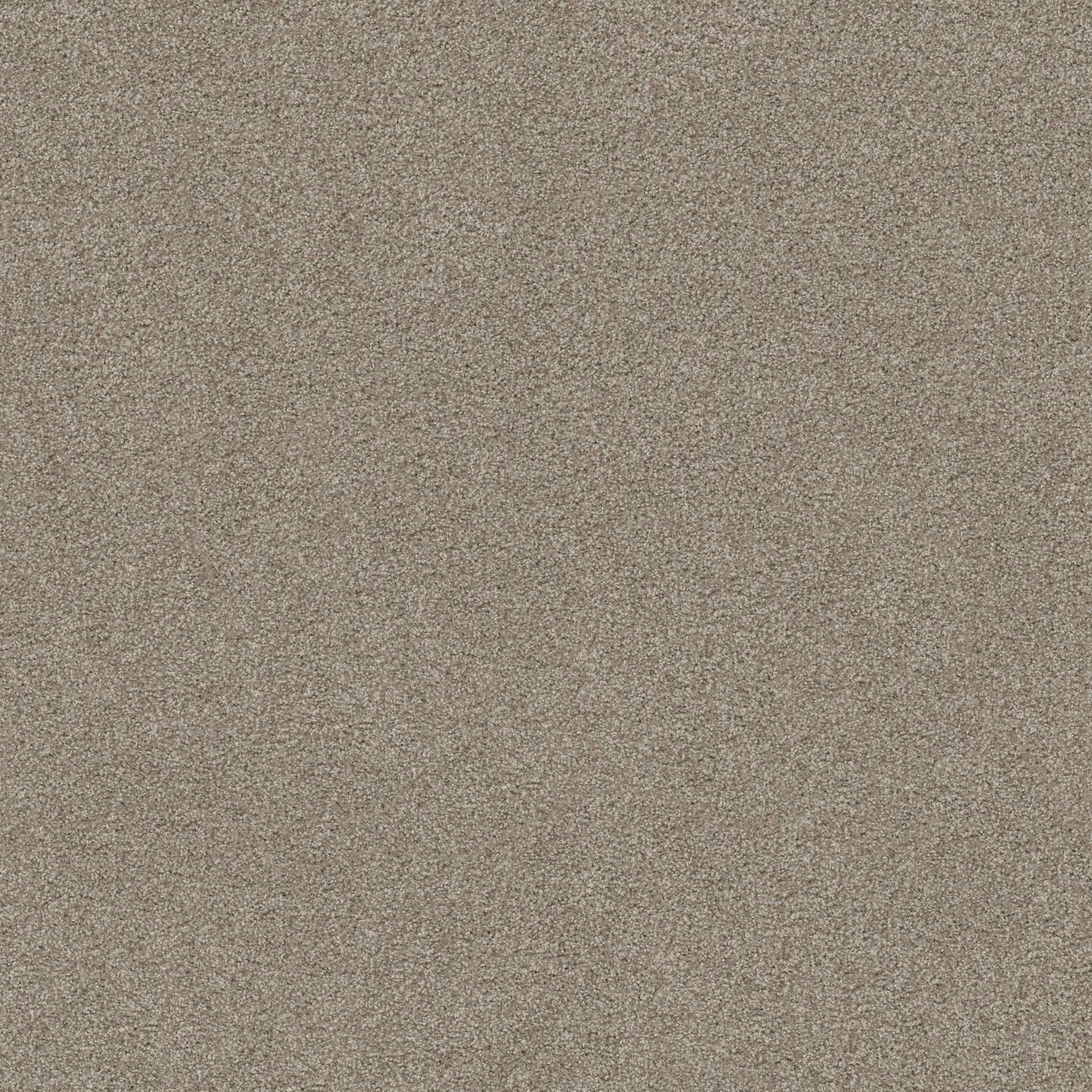 TEXTURE BCF