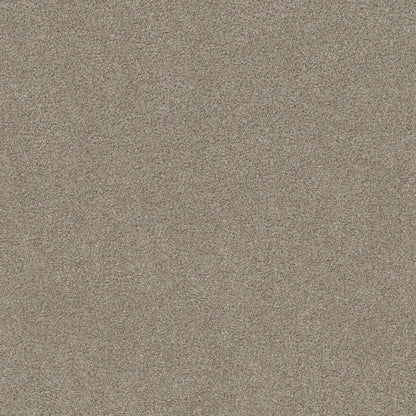 TEXTURE BCF