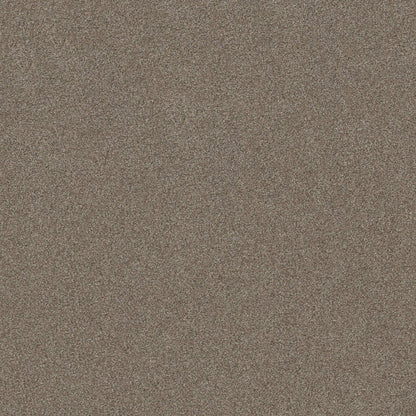 TEXTURE BCF