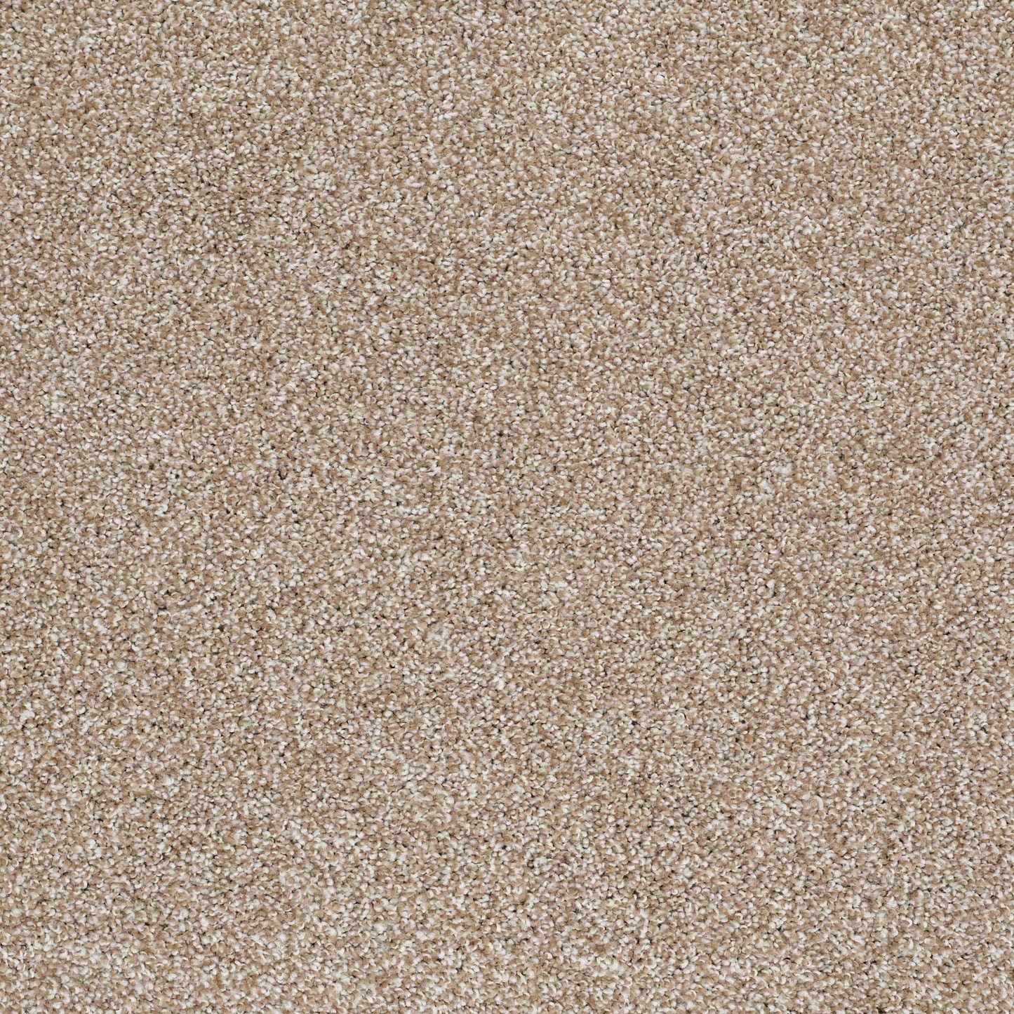 TEXTURE BCF