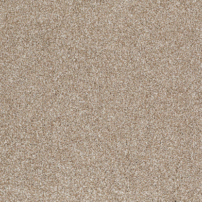 TEXTURE BCF