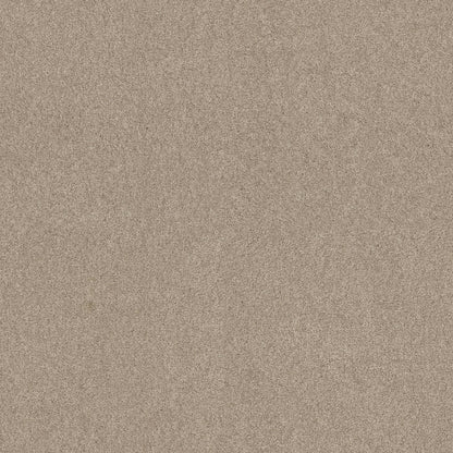 TEXTURE BCF