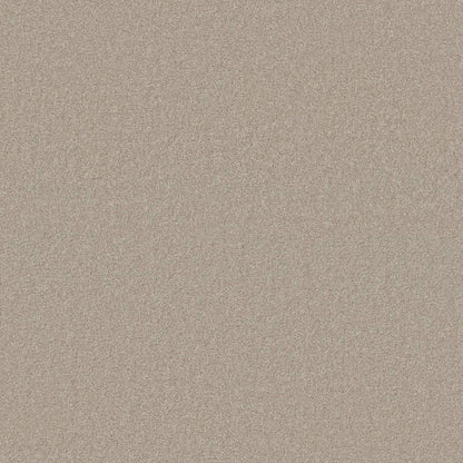 TEXTURE BCF