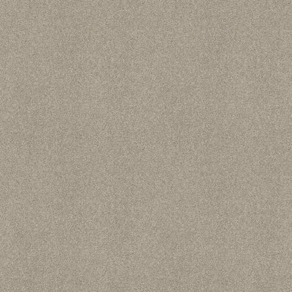 TEXTURE BCF