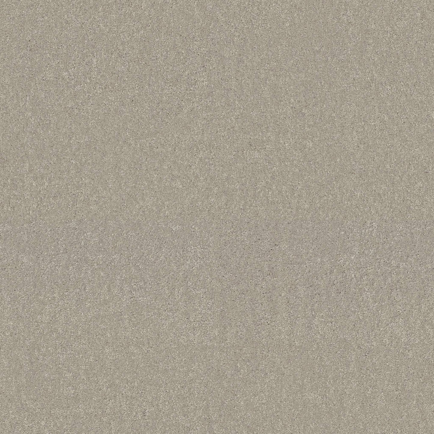 TEXTURE BCF