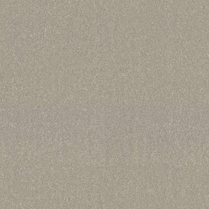 TEXTURE BCF