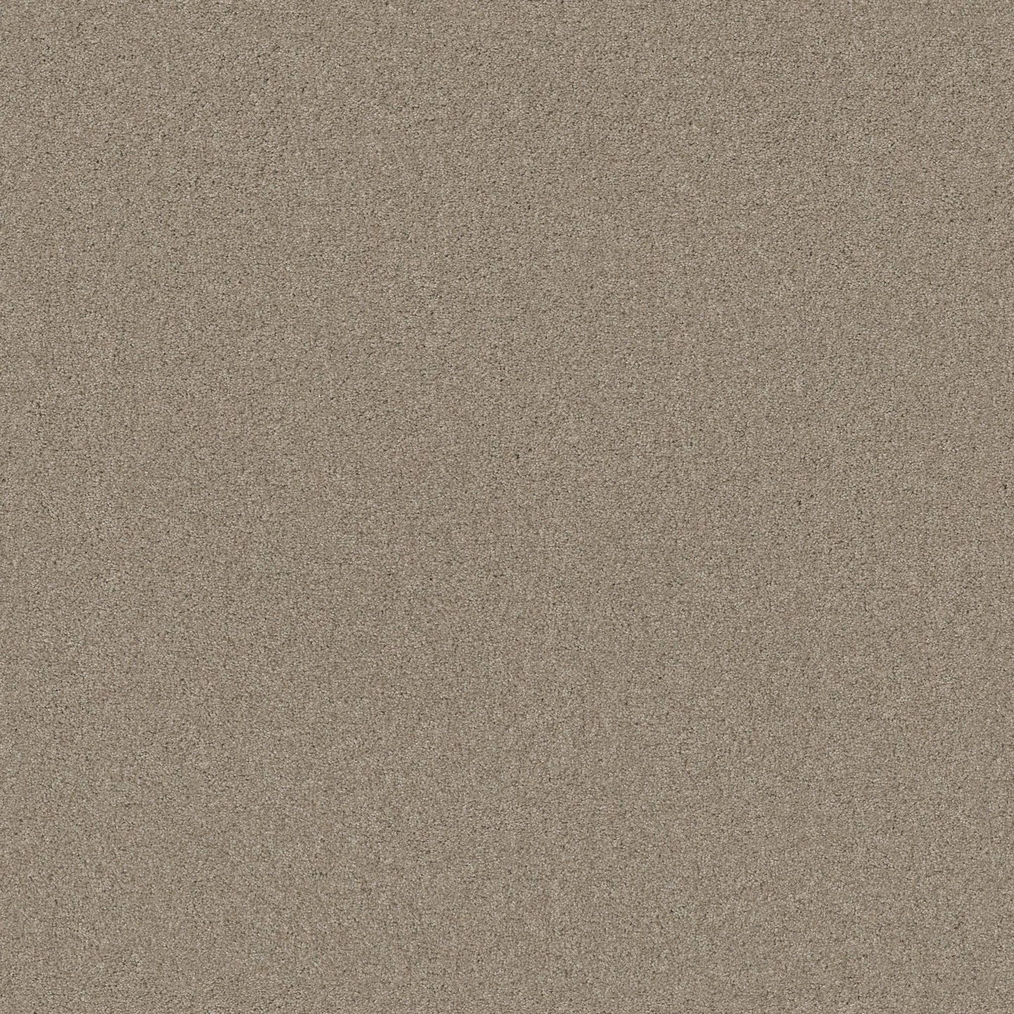 TEXTURE BCF