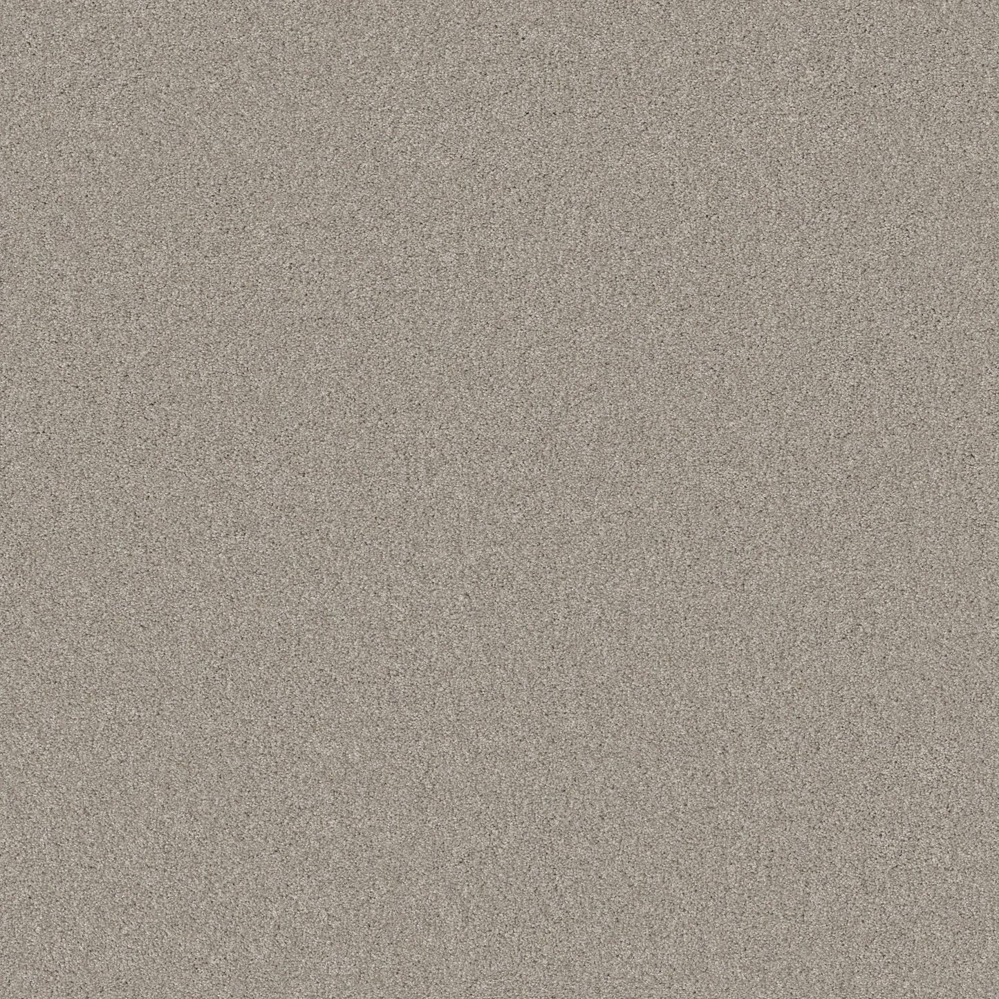 TEXTURE BCF