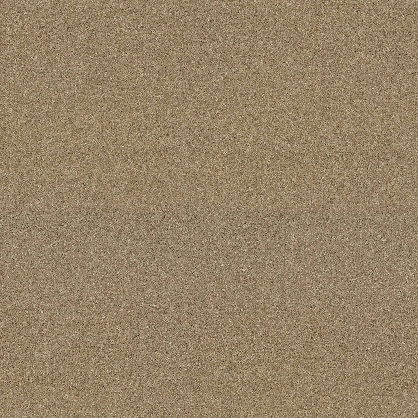 TEXTURE BCF