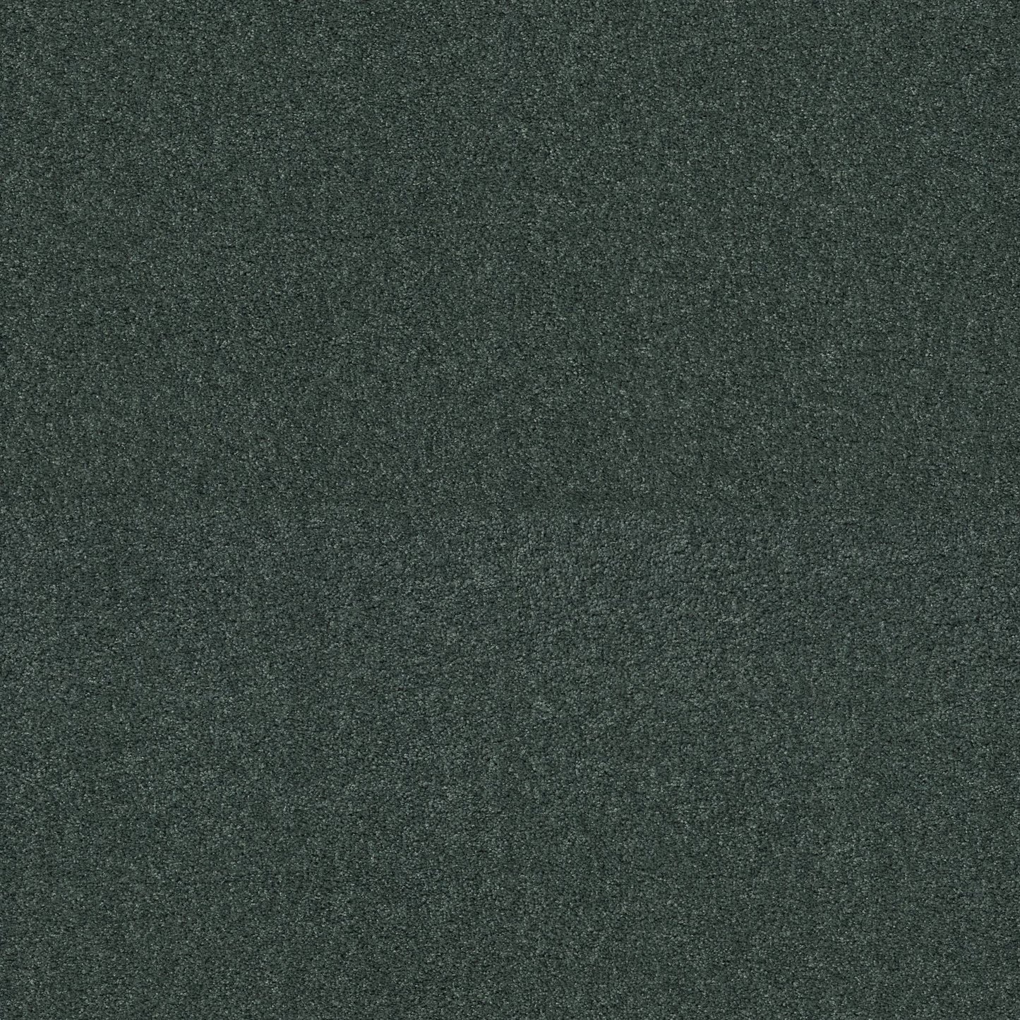 TEXTURE BCF
