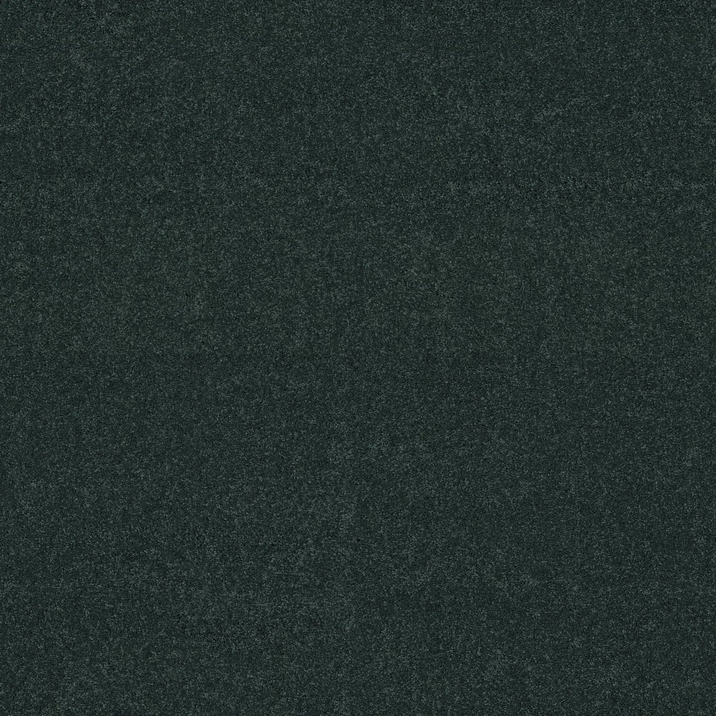 TEXTURE BCF