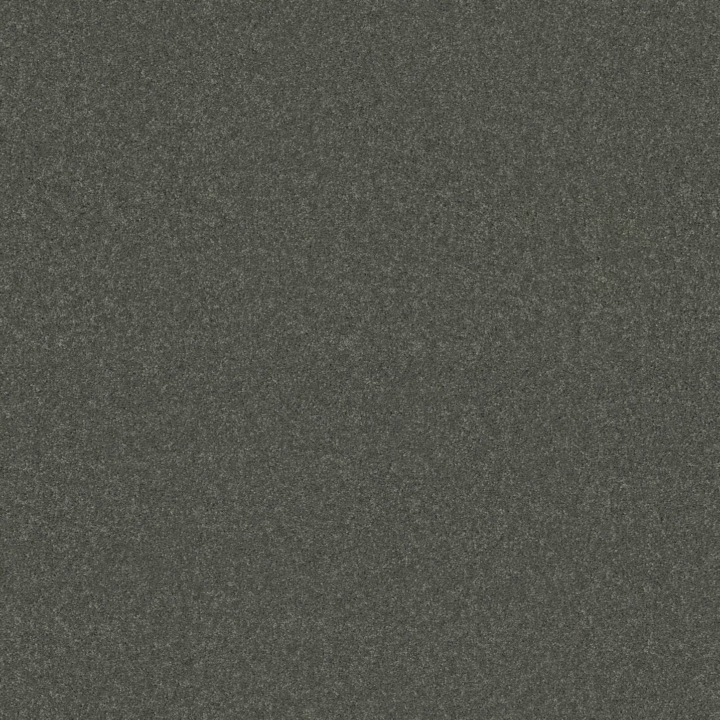 TEXTURE BCF