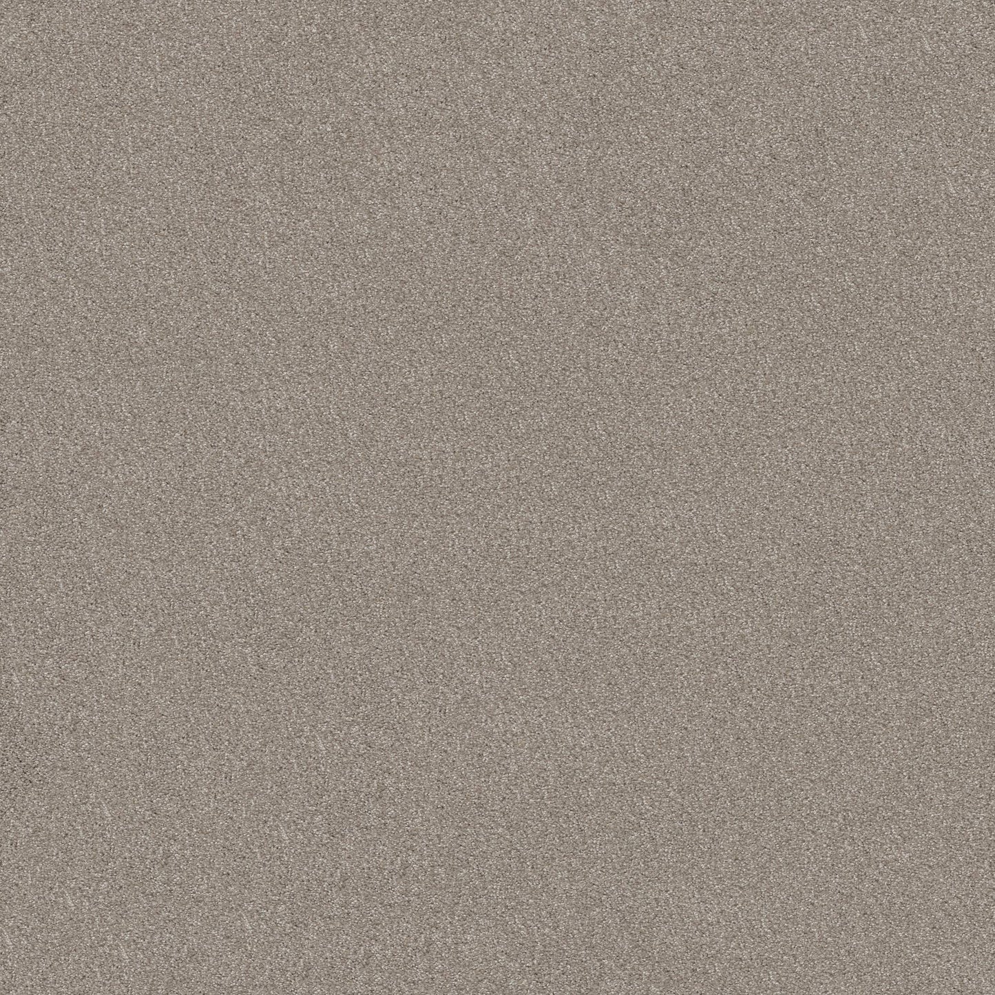 TEXTURE BCF