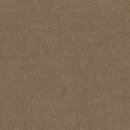TEXTURE BCF