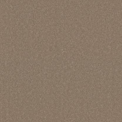 TEXTURE BCF