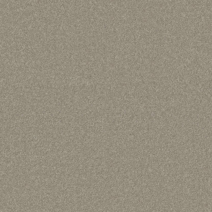 TEXTURE BCF