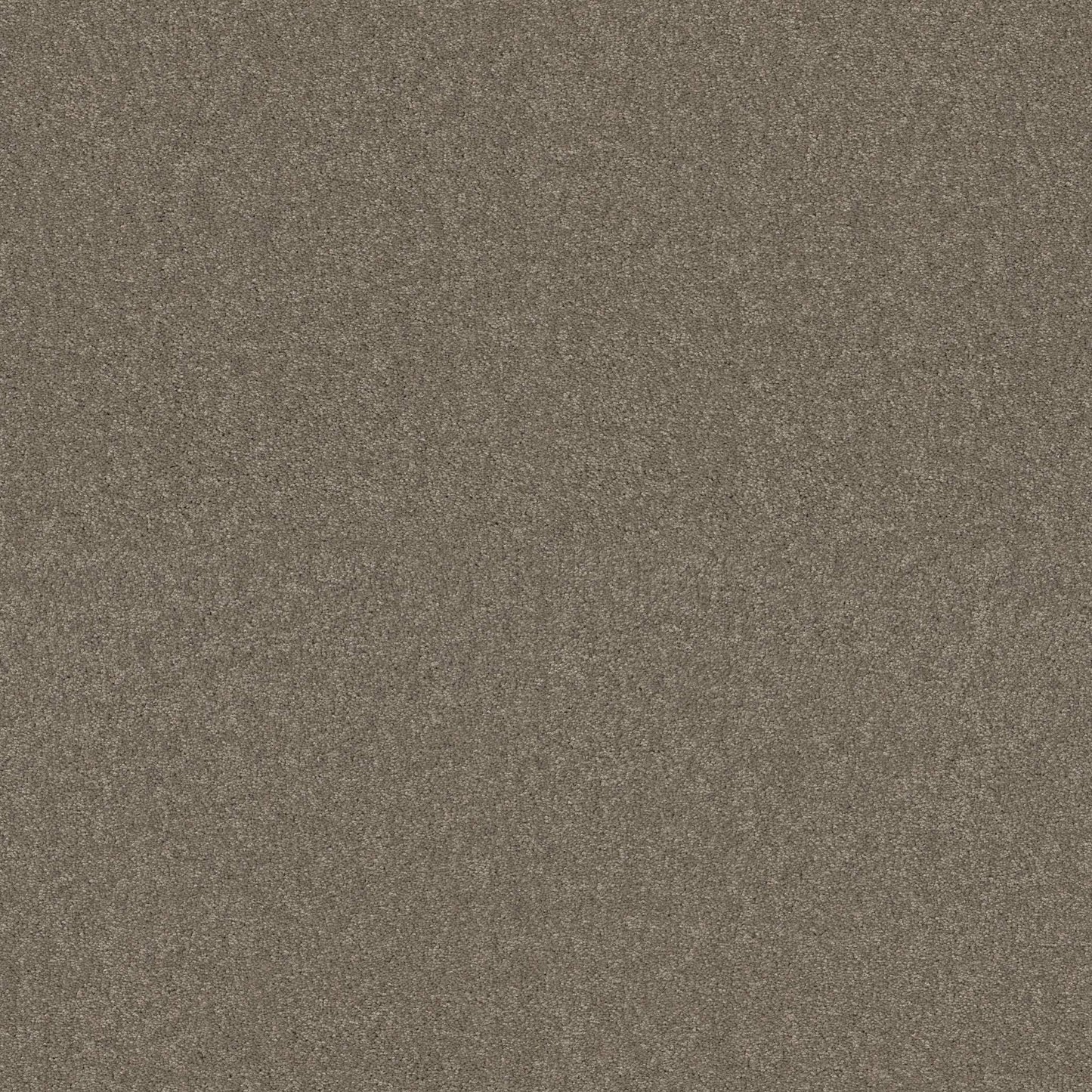 TEXTURE BCF