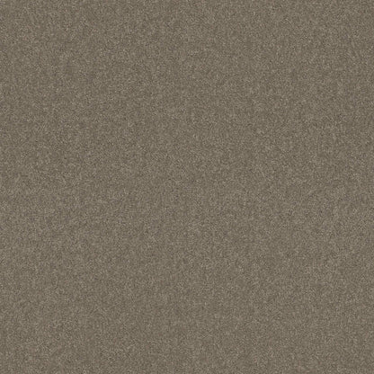 TEXTURE BCF
