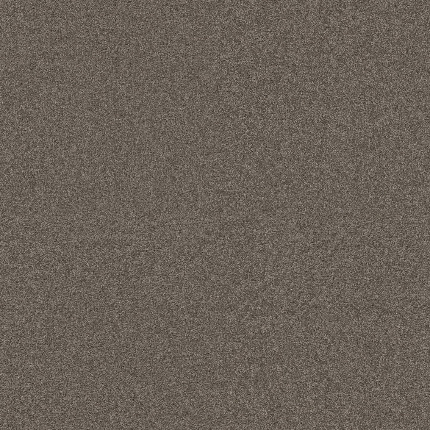 TEXTURE BCF