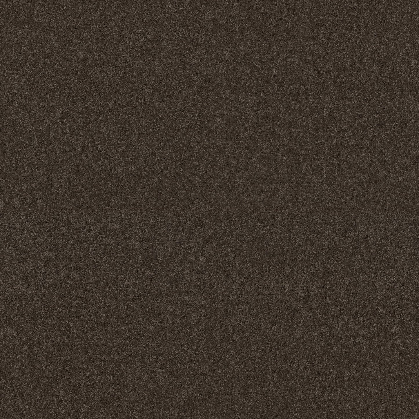 TEXTURE BCF