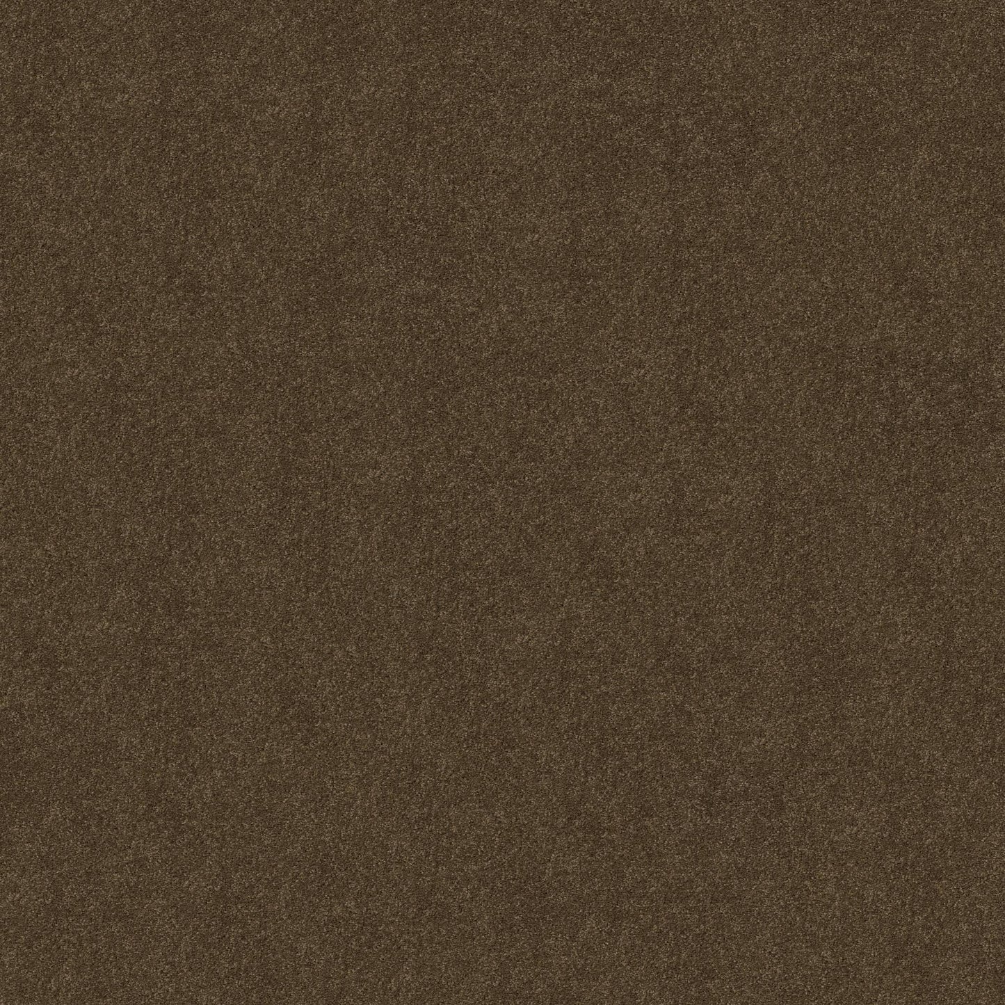 TEXTURE BCF