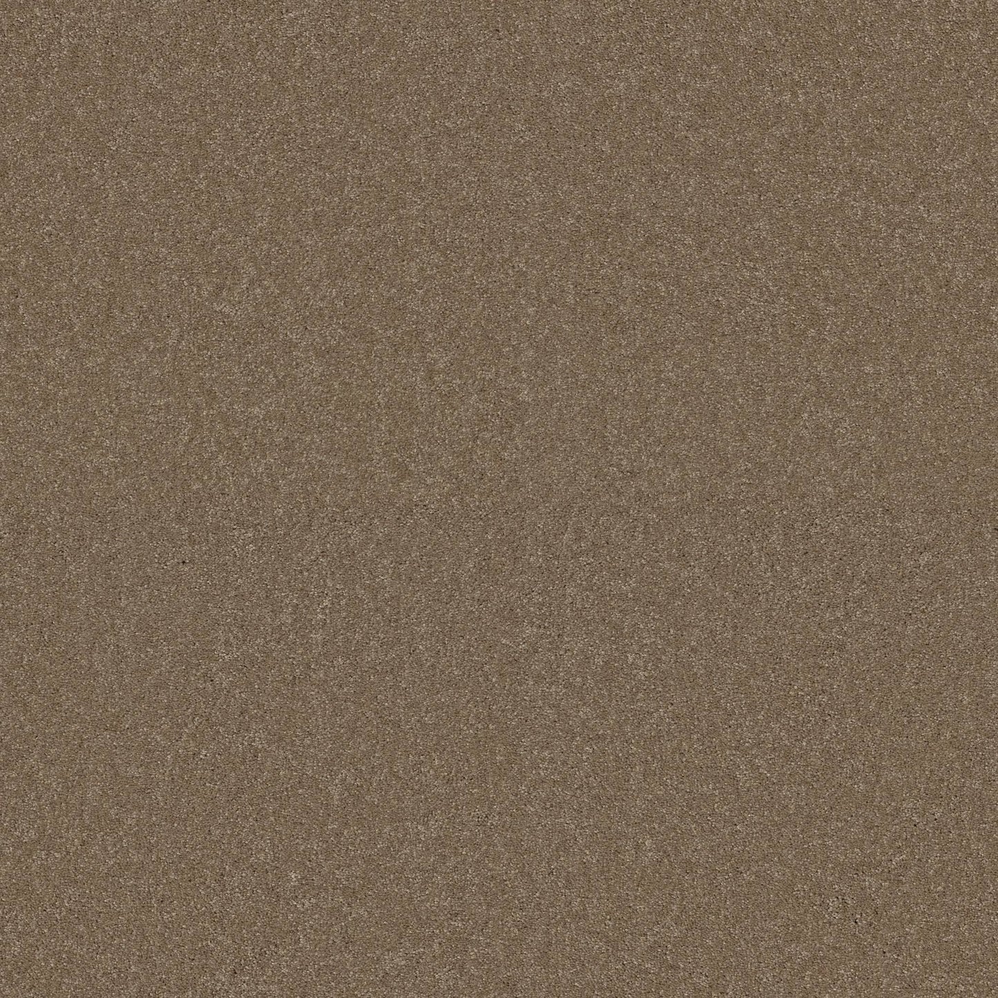 TEXTURE BCF