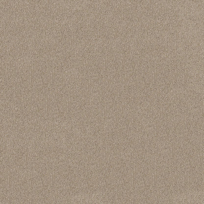 TEXTURE BCF