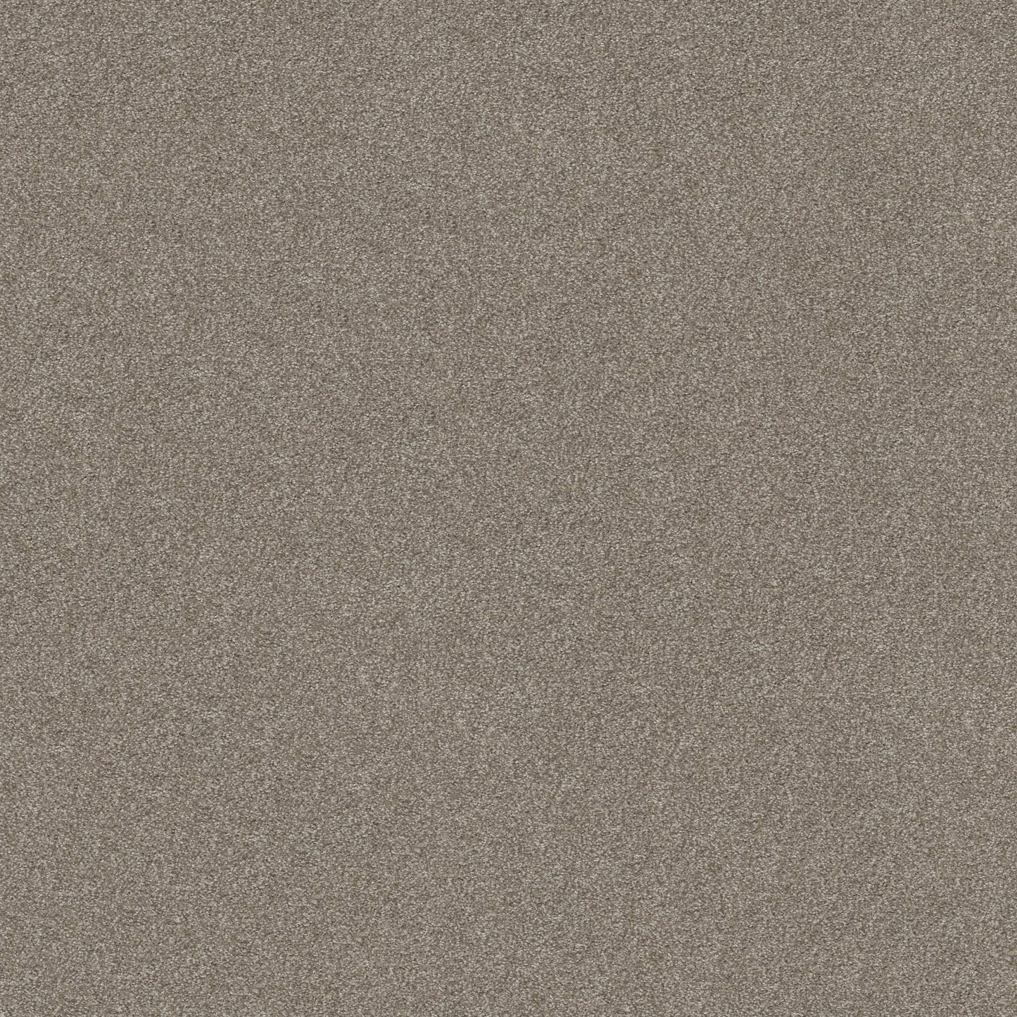 TEXTURE BCF