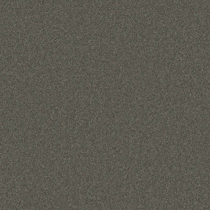 TEXTURE BCF