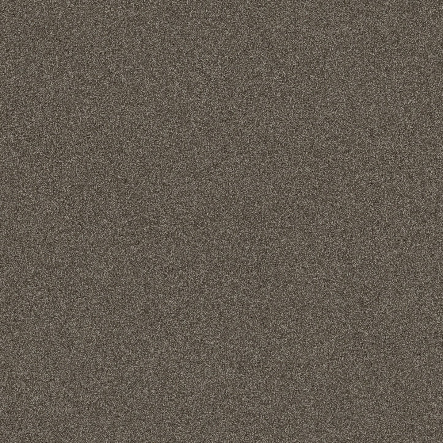 TEXTURE BCF