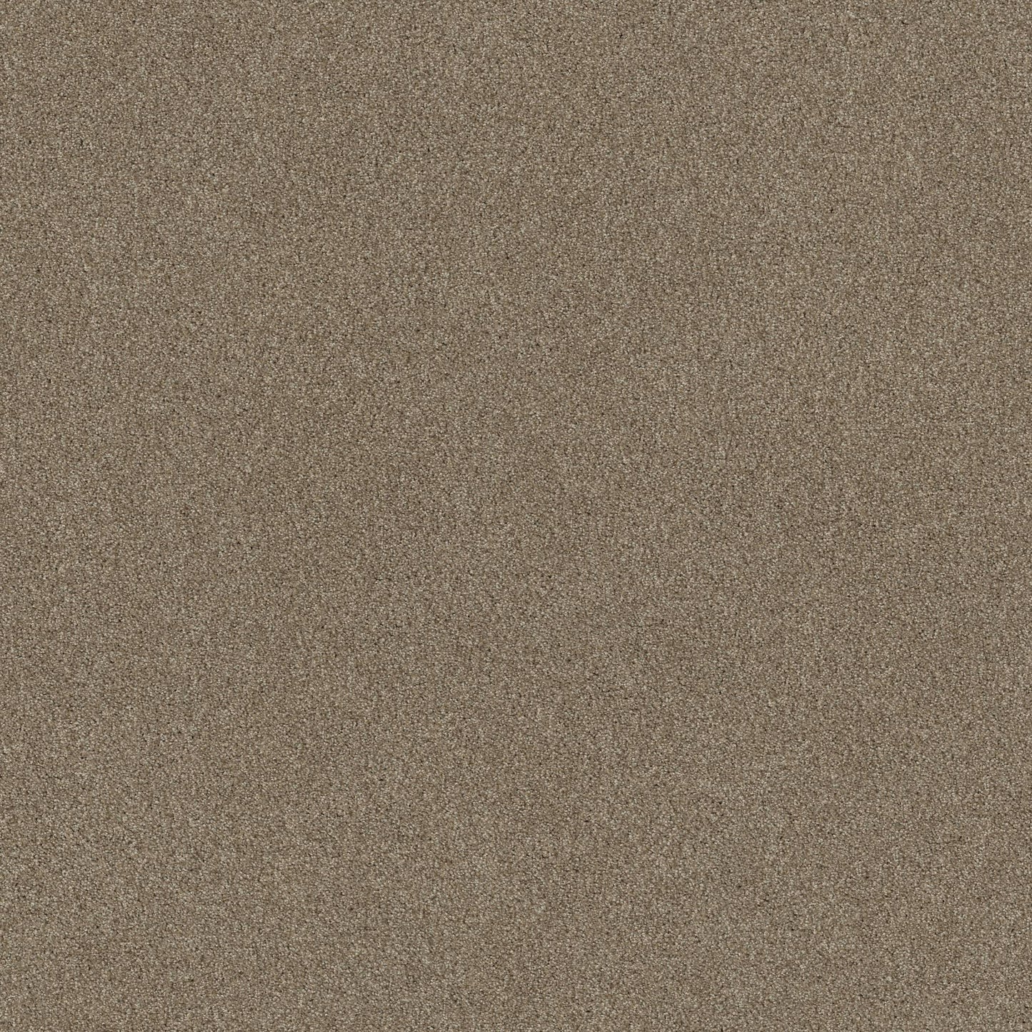 TEXTURE BCF