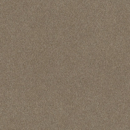 TEXTURE BCF