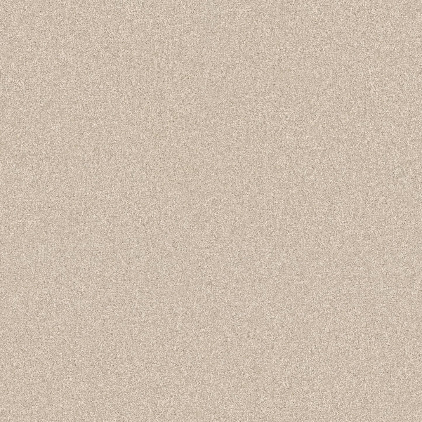 TEXTURE BCF